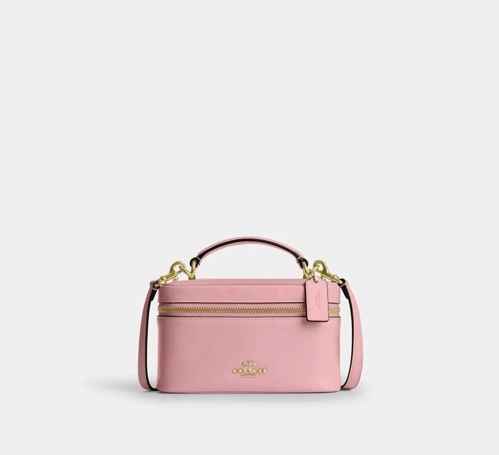 B4-011 Coach CEO24 Rainer Crossbody 18 Leather Vanity Bag in Gold/Soft Pink NWT